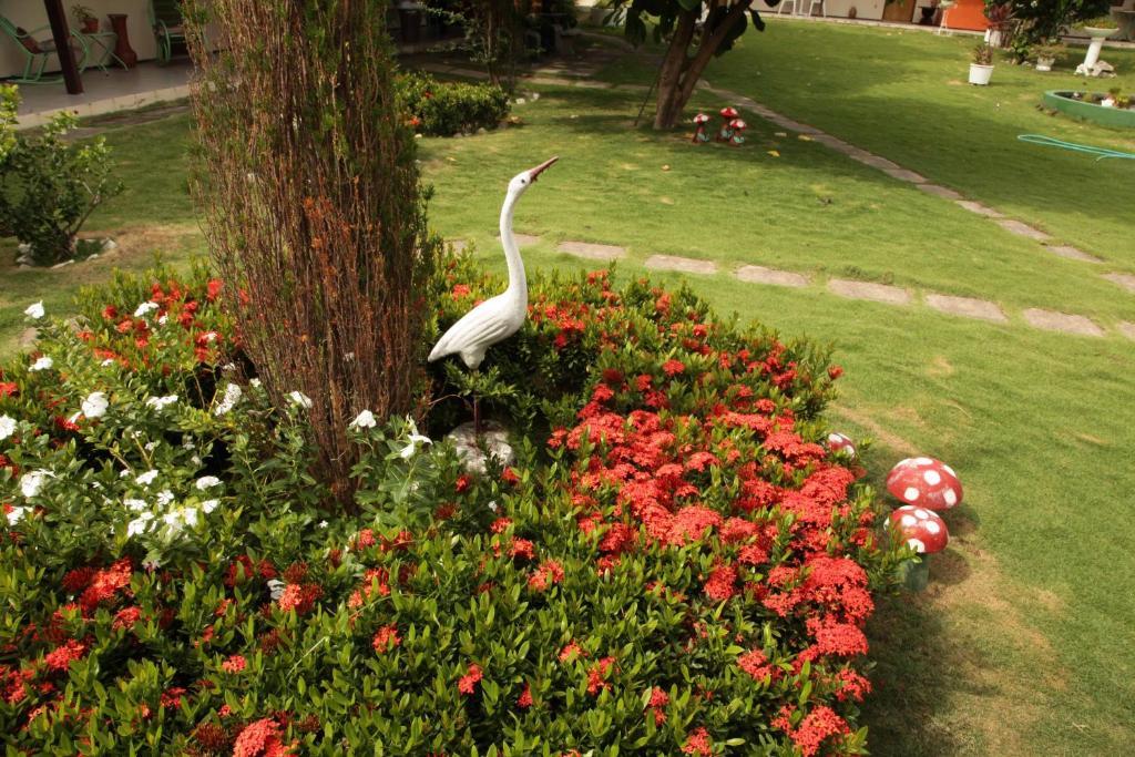 Hotel Jardim Fortaleza  Exterior foto